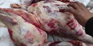 الفجر سبورت .. نقيب الجزارين: نزول أسعار اللحوم بعد عيد الأضحى مُحتمل بسبب تراجع الشراء