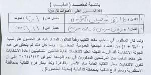 انطلاق انتخابات الإعادة على مقعد نقيب الفنانين التشكيليين اليوم - بوابة المساء الاخباري