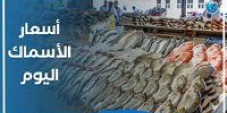 أسعار الأسماك اليوم الثلاثاء 16-7-2024 في محافظة البحيرة