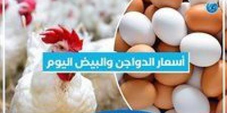 أسعار الدواجن والبيض اليوم الثلاثاء 16-7-2024 في المنيا