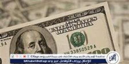 سعر الدولار اليوم أمام الجنيه المصري: استقرار بعد الزيادة الطفيفة في البنوك