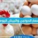 أسعار الدواجن والبيض اليوم الثلاثاء 16-7-2024 بمحافظة البحيرة