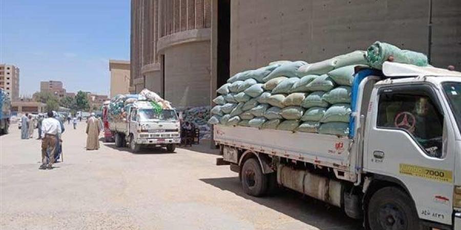 صوامع المنيا تستقبل 146 ألف طن من محصول القمح - الفجر سبورت