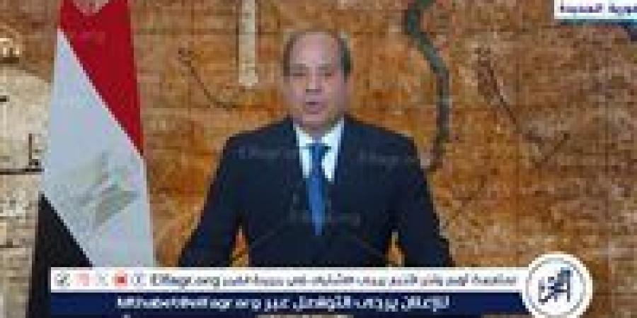 أبو الغيط: السيسي أنقذ مصر وتحمل المسئولية في لحظة حالكة