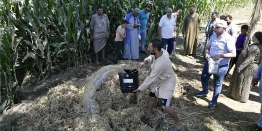 «عضو التحالف الوطني» ينفذ مشروعا زراعيا في المنيا - بوابة المساء الاخباري