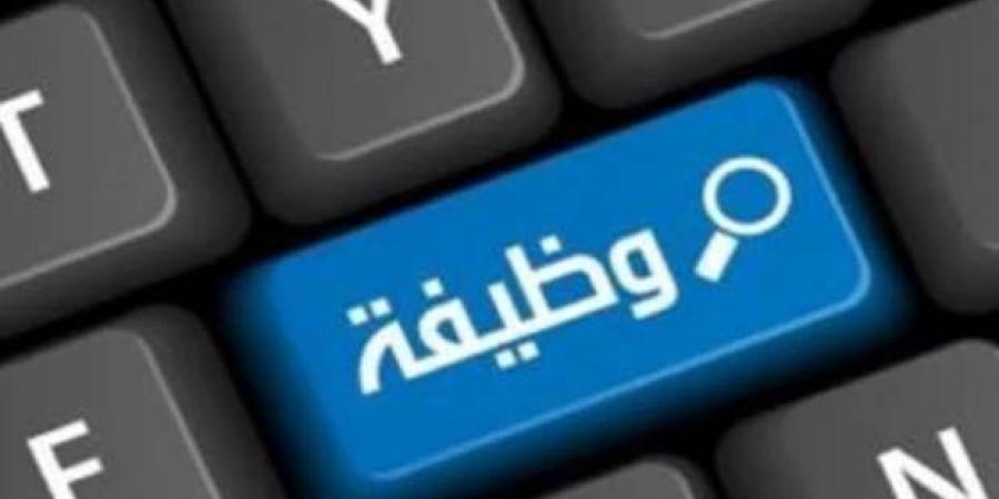 293 وظيفة شاغرة في المبيعات برواتب تصل إلى 30 ألف جنيه.. إليك طريقة التقديم - بوابة المساء الاخباري