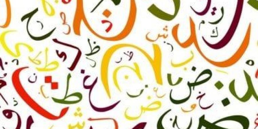 اتكلم عربى..  لماذا اللغة العربية مهمة؟ - المساء الاخباري