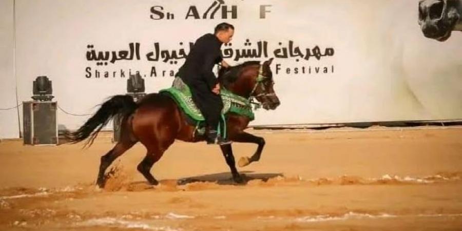 إعلان جوائز الفائزين فى مسابقة تراث أدب الخيل بمهرجان الشرقية للخيول العربية - بوابة المساء الاخباري